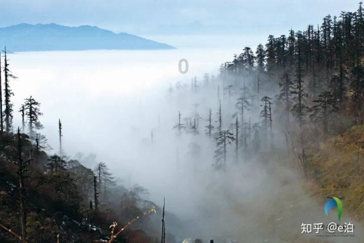 现在这个时代，做什么才能赚钱游戏画面