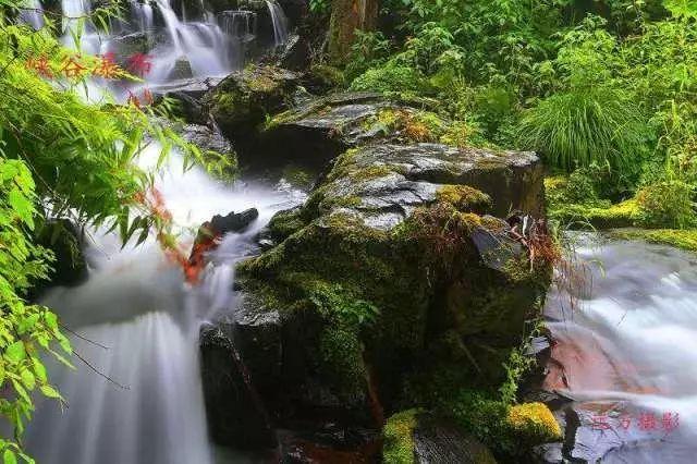 植物大战僵尸2